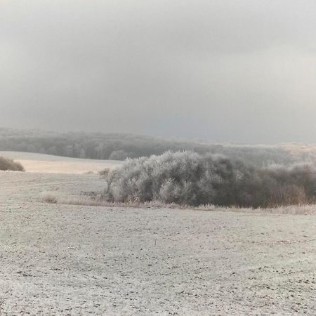 Ferienwohnung Uckermarkblick Ziehten Kültér fotó
