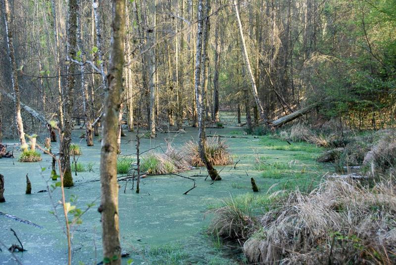 Ferienwohnung Uckermarkblick Ziehten Kültér fotó